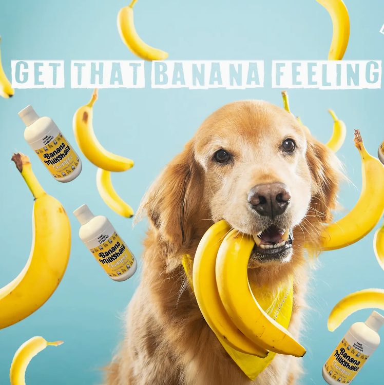 Banana Milkshake Natural Dog Shampoo | Sensitive Skin- 250ml image 2