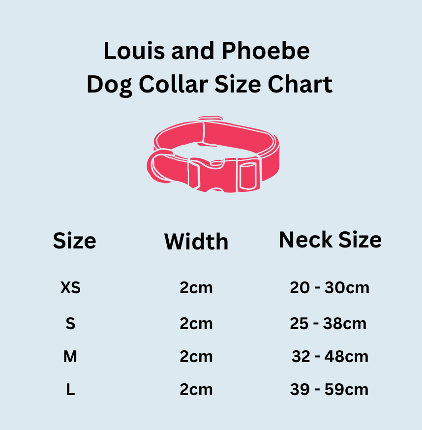 Louis and Phoebe- Candy stripe Collar -Pink image 2