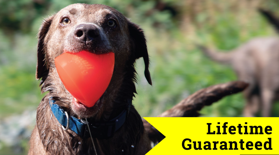 Indestructible dog toy, Tough dog ball, Indestructible dog ball, Chew dog toy, Rubber dog toy
super tough dog toys,
most indestructible dog toy,
extra tough dog toys,
durable dog toys for chewers,
hard chew toys for dogs,
strong chew toys for dogs,
