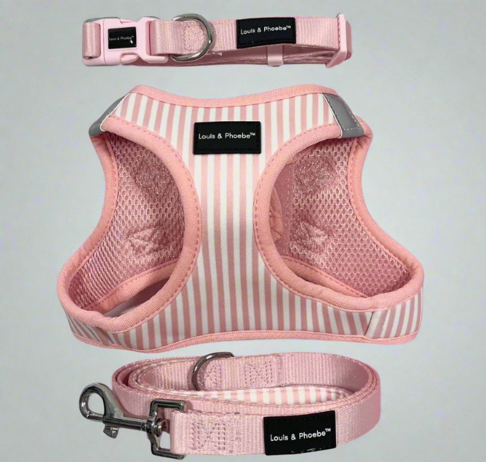 Louis & Phoebe- Click and walk Harness -Baby Pink