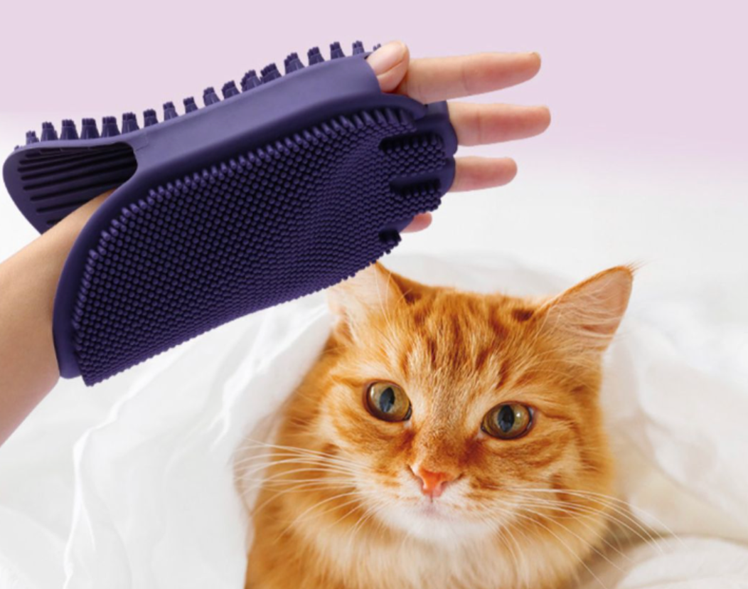 Grooming Glove- Helps with shedding