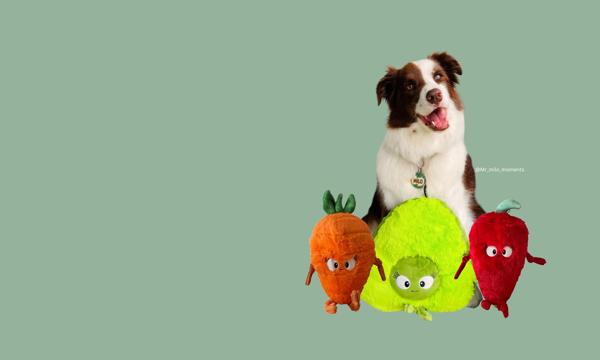 Dog toys ,tough dog toys