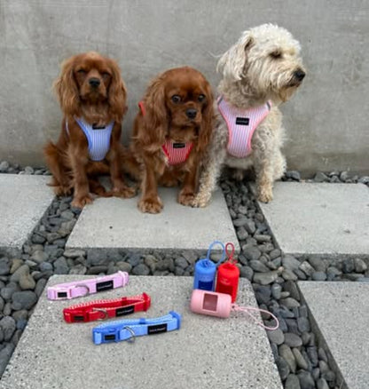 Louis and Phoebe- Candy stripe Collar -Pink