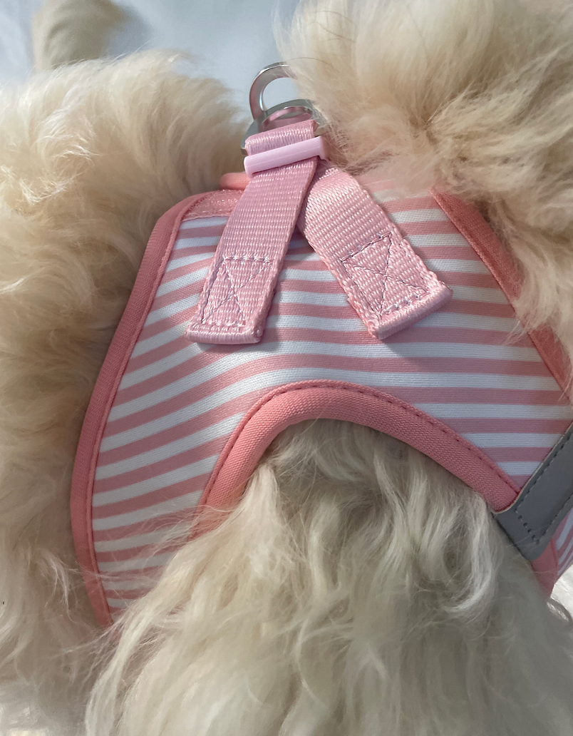 Louis & Phoebe- Click and walk Harness -Baby Pink