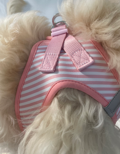 Louis & Phoebe- Click and walk Harness -Baby Pink