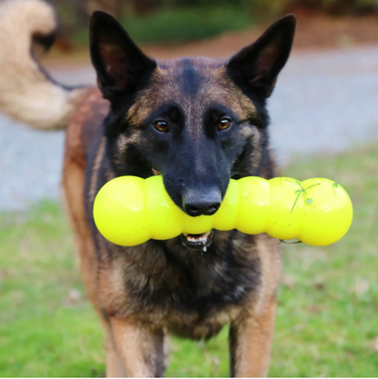 Indestructible dog toy, Tough dog ball, Indestructible dog ball, Chew dog toy, Rubber dog toy,
best dog toys for aggressive chewers
dog chew toys for aggressive chewers
strong dog toys
toys for aggressive chewers
indestructible dog ball